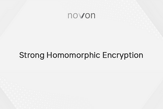 Strong Homomorphic Encryption