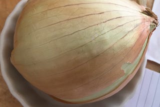 2020: We Are All Onions - 2020 is Exposing Our Shared Vulnerability, One Layer at a Time