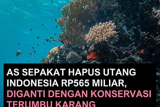 Perdagangan Karbon itu Laku, Amerika sampai Hapus Hutang bagi Indonesia
