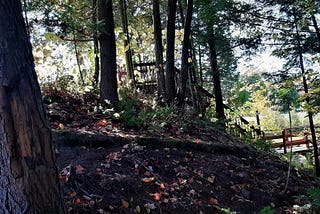 October 27th Writing Is Never Lonely If You Love Nature