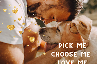 Man face to face nuzzling dog. Says “Pick me. Choose me. Love me.”