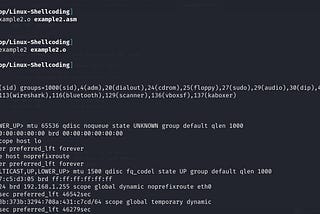 Linux Shellcoding