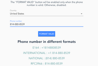 使用 Google libphonenumber 套件驗證國際電話號碼格式