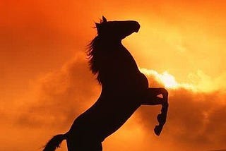 Nora the fairy of war and healing