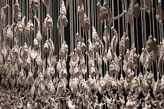 A Precarious Paradise