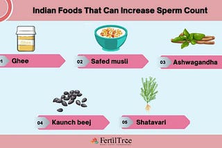 increase sperm count