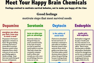 This video series is a great introduction on basic neurochemistry.