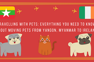 Traveling with Pets: Everything you need to know about moving pets from Yangon, Myanmar to Ireland.