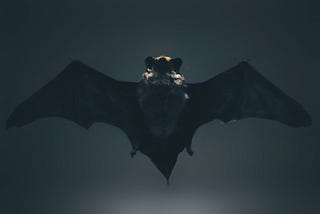 4/500 | Just for laughs : A not so smart bat