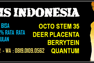 I-DNA OCTOSTEM 35 di JAKARTA