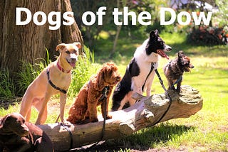 Dividend Investing Ideas: The Dogs of the Dow Strategy