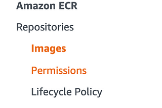 AWS ECR: Where can I add a permissions policy?