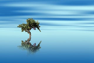 introspective deficit