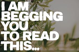I am begging you to read this…