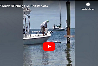 #Florida #Fishing Live Bait #shorts