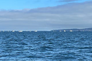 The Salmon Fishing Current blog: North of Falcon 2025 edition