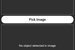 Object Detector using Google ML Kit in Flutter & GetX
