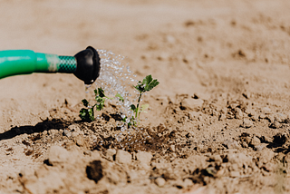 Surge Flow Irrigation: The Pros and Cons of Using This Water-Saving Method