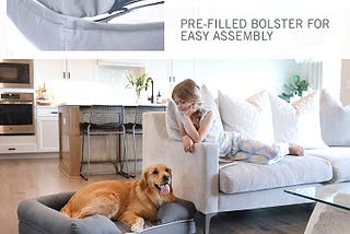 PetFusion Ultimate Orthopedic Dog Bed | Solid CertiPUR-US Memory Foam | Multiple Sizes/Colors…