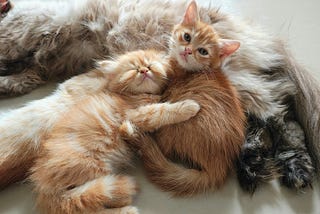 When Your Child Grows Out of Your Lap but Not Your Arms