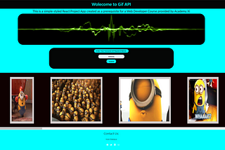 React Project Gif API