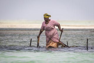 Climate Change and Black Folk — an Inconvenient Complicated Truth