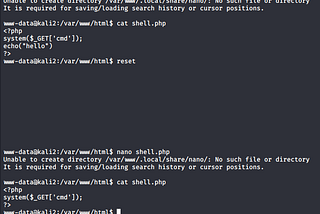 Conseguindo uma tty shell totalmente interativa