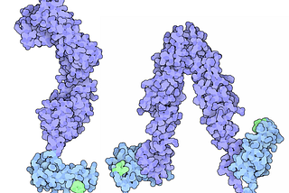 Graph Neural Networks for Binding Affinity Prediction