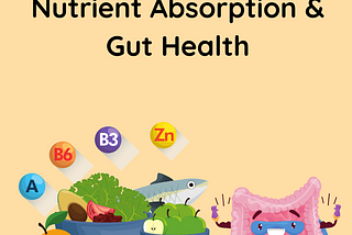 Nutrient Absorption & Gut Health