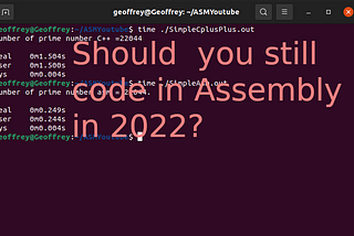 Should you still code in assembly in 2022?