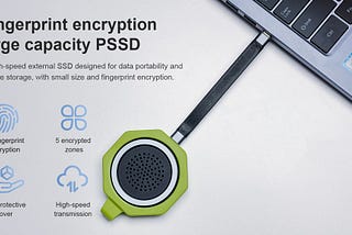 Partitionable Fingerprint Encryption (PSSD): Enhancing Security in the Digital Age