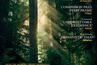 Leave No Trace: an amazing and sobering movie for the world of today