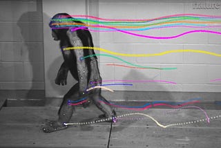 ‘Half Invisible’: Some Thoughts on Writing About Research on Animals