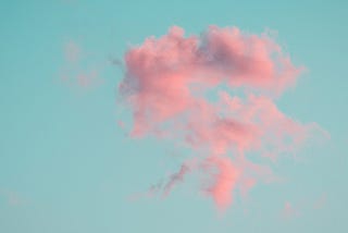 The Agencies’ Trust in their Employees is lackluster.