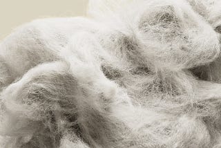 Understanding the Importance of Ethically Sourced Merino Wool