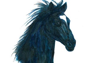 A horse named Liquiçá