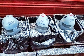 Three plastic one-gallon milk just that have been cut open, filled partway with soil, and taped back together sit one each in square containers lined with black plastic trash bags and filled with soil. The jug on the left is labeled Common Milkweed in black Sharpie, the middle one is labeled Showy Milkweed and the one on the right is labeled Swamp Milkweed. The square containers sit on a wooden pallet with red-brown metal skirting behind them. There is a skiff of snow on all surfaces.