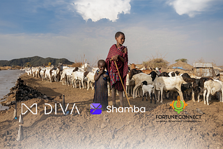 Empowering Conditional Donations on the Blockchain: Insights from the DIVA Donate Pilot