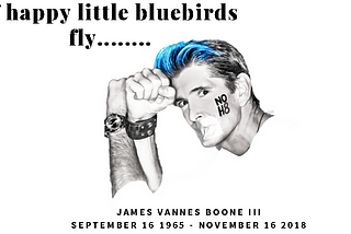 If Happy Little Blue·birds Fly….