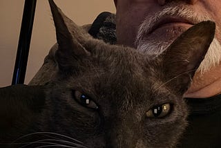 Confessions from Pet Hell: When Loving Animals Goes Too Far
