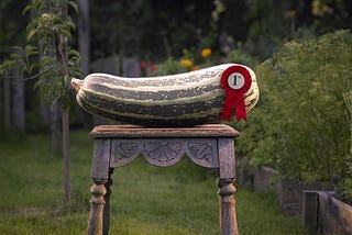 How to Measure Success in a World of Profit and Prizes