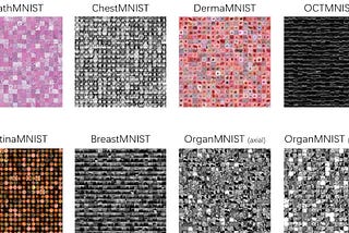 MultiResViT