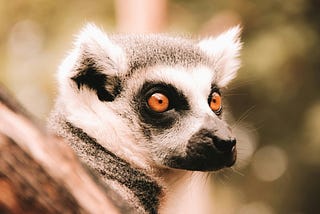 Deploying Airflow (almost) production ready in Kubernetes