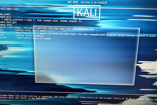 Kali Linux / Display / Screen / NVIDIA / Troubleshooting