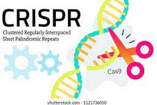 Epigenetics Dispatch #3