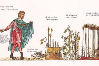 Sown Seeds Yield Structure and Form