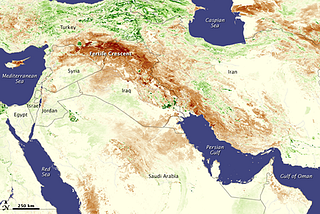 No Man’s Land: How War Imperils the Environment and Threatens Ecosystems
