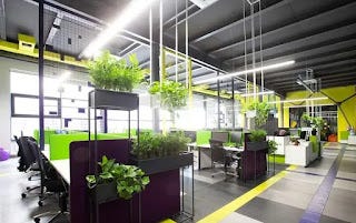 Steps To Be Taken To Create An Environmentally Friendly Workplace