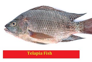 Tilapia Warning: US Woman Loses All Four Limbs After Eating Contaminated Fish.