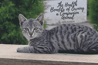 The Health Benefits of Owning a Companion Animal